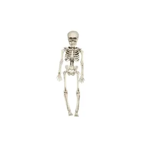 Skeleton - Kostra k zavěšení 40 cm - Halloween - GUIRCA